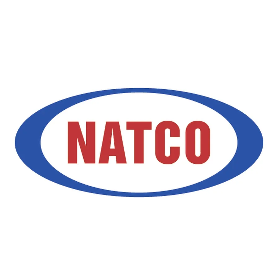 Natco Networks logo